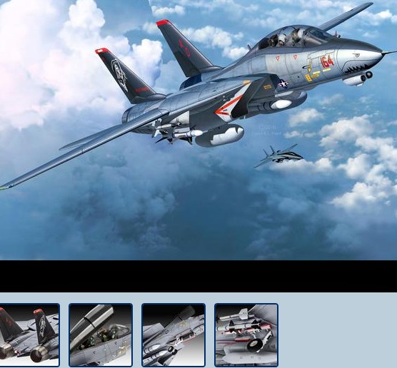 Re03960 Grumman F-14D Super Tomcat