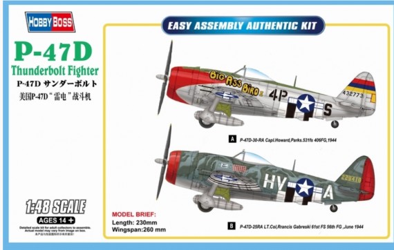 Hb85804 P-47 D Thunderbolt Fighter