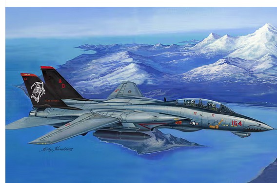 Hb80368 F-14D Super Tomcat