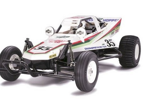 Ta58346 The Grashopper