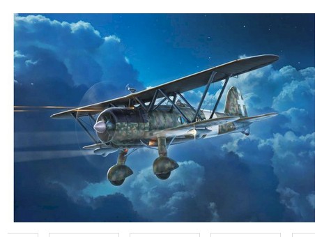 It1485 Fiat CR.42 CN Falco